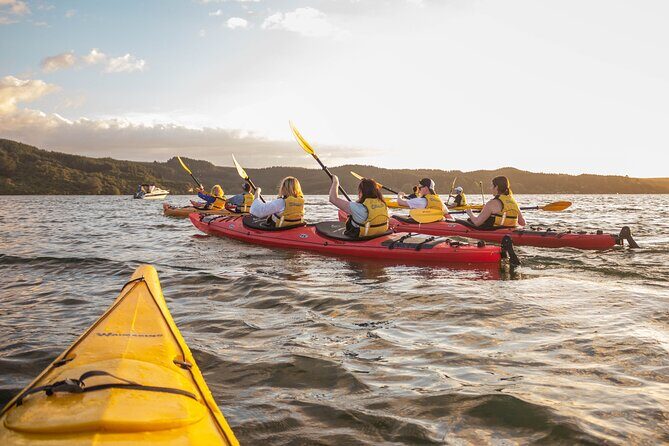 Rotorua: Evening Starlight Gourmet Kayak Tour Glowworms - Key Points