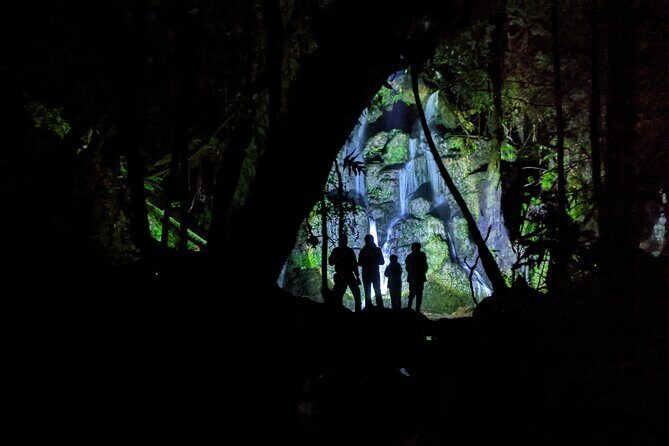 Rotorua: Evening Starlight Gourmet Kayak Tour Glowworms - Practical Details and Tips