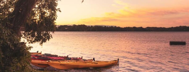Rotorua: Evening Starlight Gourmet Kayak Tour with dinner - An Overview of the Tour Experience