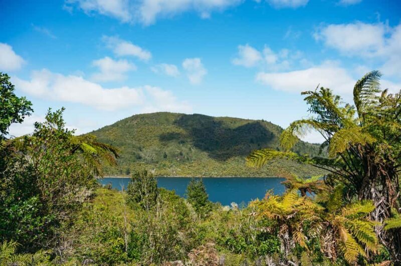 Rotorua: Explore The Lakes Half-Day Morning Tour - An Authentic Rotorua Nature Escape in Just Four Hours