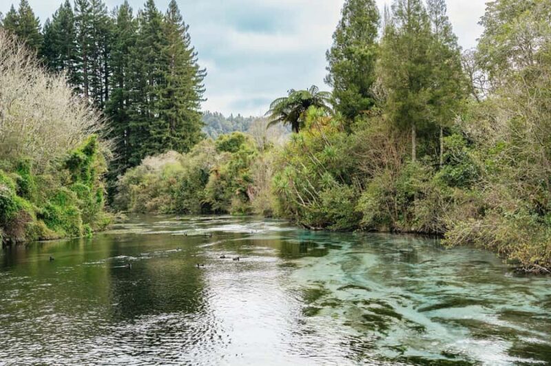 Rotorua: Explore The Lakes Half-Day Morning Tour - FAQ