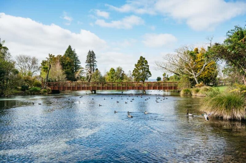 Rotorua: Explore The Lakes Half-Day Morning Tour - Final Thoughts