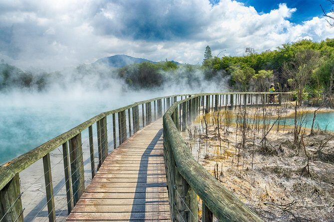 Rotorua Full Day Private Tour from Auckland - The Sum Up