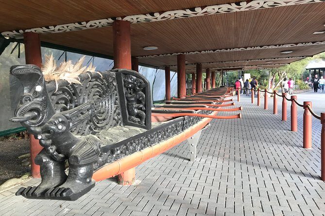 Rotorua Geothermal Wonderland Tour Departs Tauranga - Key Points