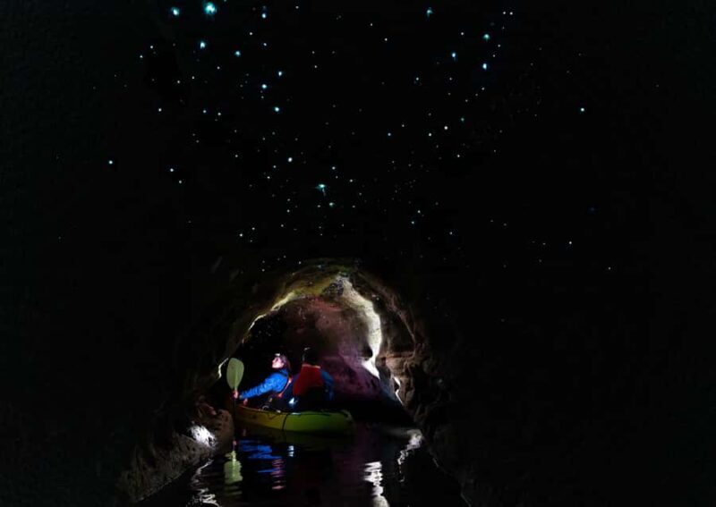 Rotorua: Glow Worm Kayak Tour - Authentic Feedback from Travelers