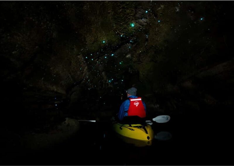 Rotorua: Glow Worm Kayak Tour - Who Should Consider This Tour?