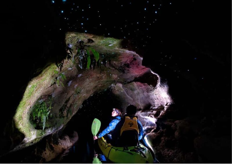 Rotorua: Glow Worm Kayak Tour - Final Thoughts