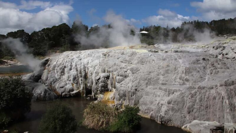 Rotorua: Glowworm Cave, Redwoods Forest & Te Puia Tour - The Itinerary in Detail