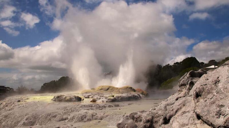 Rotorua: Glowworm Cave, Redwoods Forest & Te Puia Tour - Practical Tips for Participants