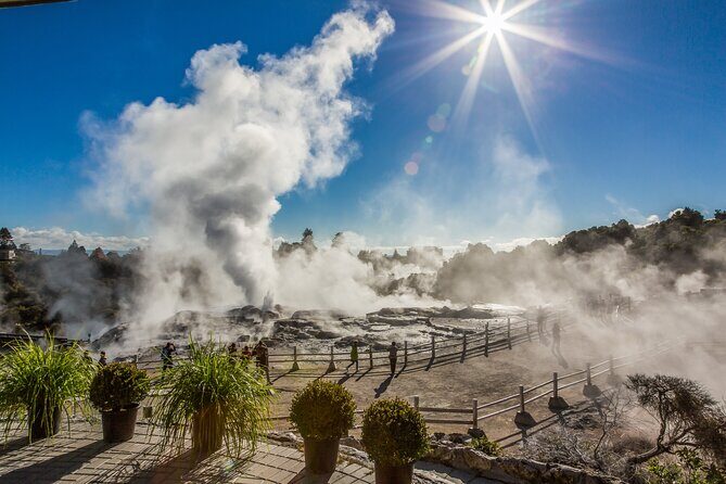 Rotorua Highlights Inc. Te Puia & Secret Spot Hot Tubs Day Tour - The Journey Begins: From Auckland to Rotorua