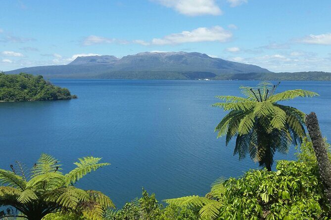 Rotorua Highlights Tour - Diving Deeper Into the Rotorua Highlights Tour