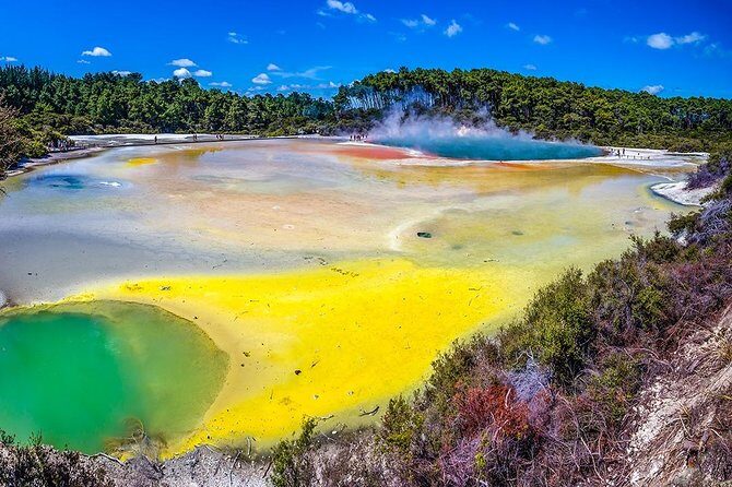 Rotorua Highlights Tour from Auckland with Optional Extras - An In-Depth Look at the Rotorua Highlights Tour