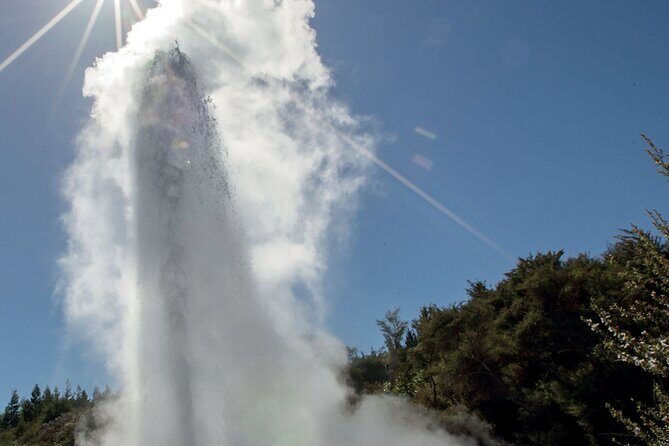 Rotorua Mori Village and Activity Combinations from Auckland - A Full Breakdown of the Rotorua Tour Experience