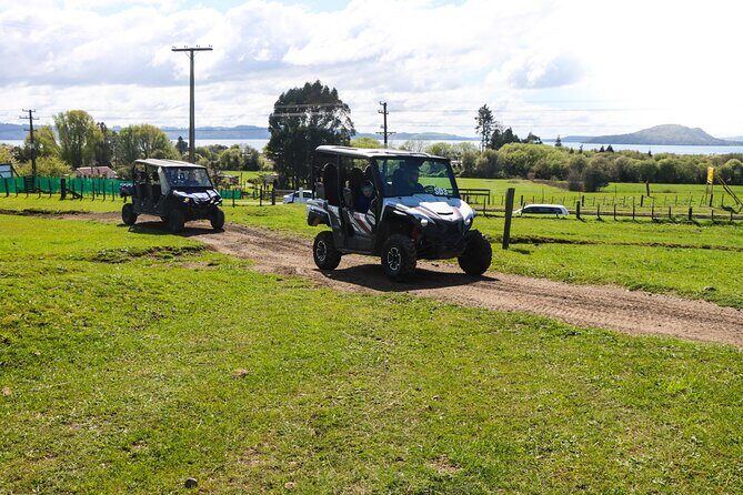Rotorua Off-Road 4WD Buggy Adventure - What to Expect from the Rotorua Off-Road 4WD Buggy Adventure