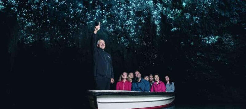 Rotorua: One-Way Trip to Auckland via Hobbiton & Waitomo - An In-Depth Look at Your Day