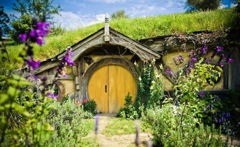 Rotorua: One-Way Trip to Auckland via Hobbiton & Waitomo - Who Is This Tour Best For?
