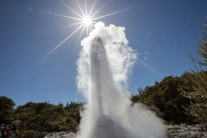 Rotorua Private Tour from Tauranga (up to 11 people) - Key Points