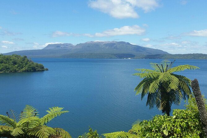 Rotorua Private Tour from Tauranga (up to 11 people) - Who Should Book This Tour?