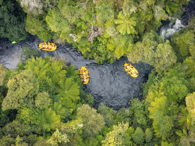 Rotorua Rafting: Kaituna River Rafting Experience-Free Sauna - What to Expect on Your Kaituna River Rafting Tour