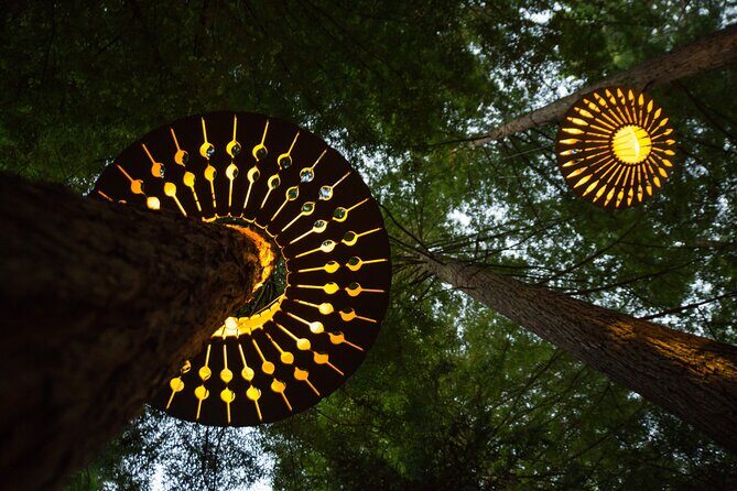 Rotorua: Redwoods Adventure 3-Hours - An In-Depth Look at the Redwoods Experience