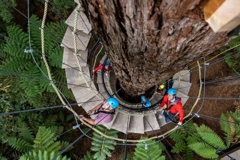 Rotorua: Redwoods Altitude High Ropes Adventure - The Experience in Detail