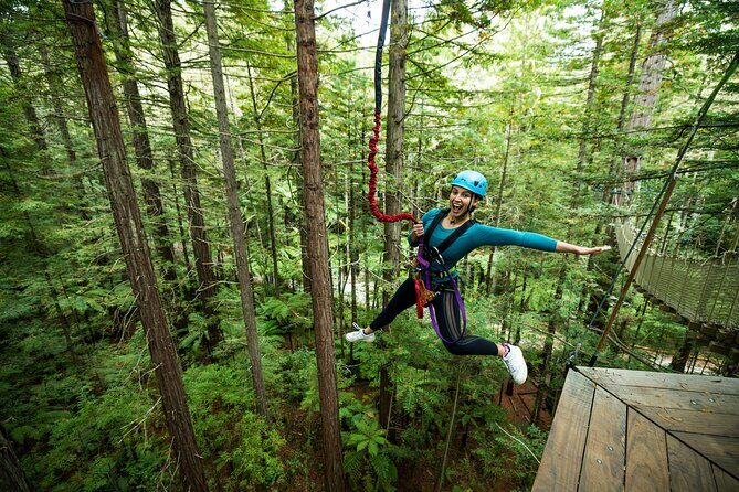 Rotorua: Redwoods Altitude High Ropes Adventure - Why This Tour Is Worth Considering