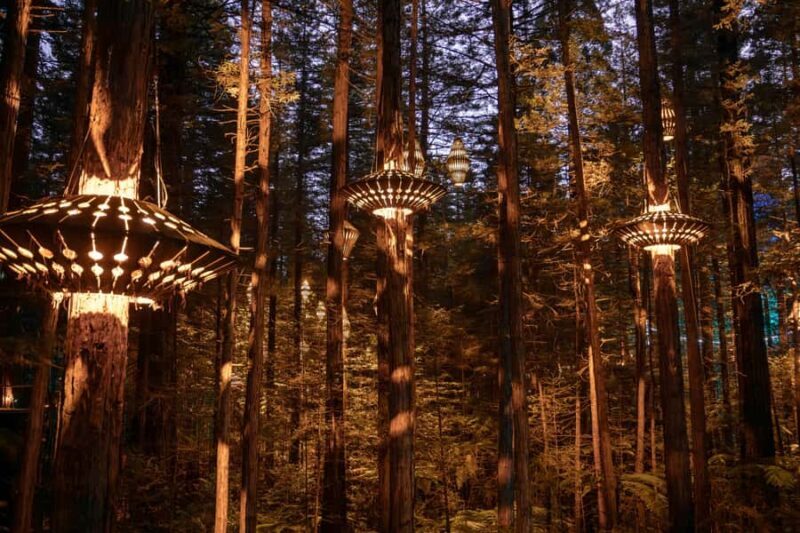 Rotorua: Redwoods Altitude, Nighttime Fast Pass, & Treewalk - FAQ