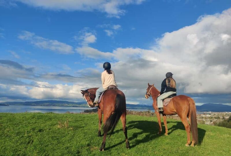 Rotorua: Scenic Horse Trek - A Tactile Taste of Rotorua’s Countryside