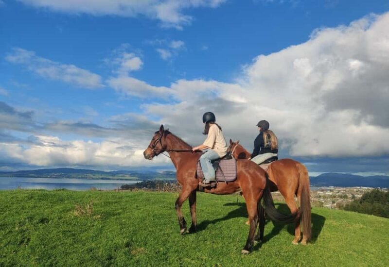Rotorua: Scenic Horse Trek - What Makes This Experience Stand Out?