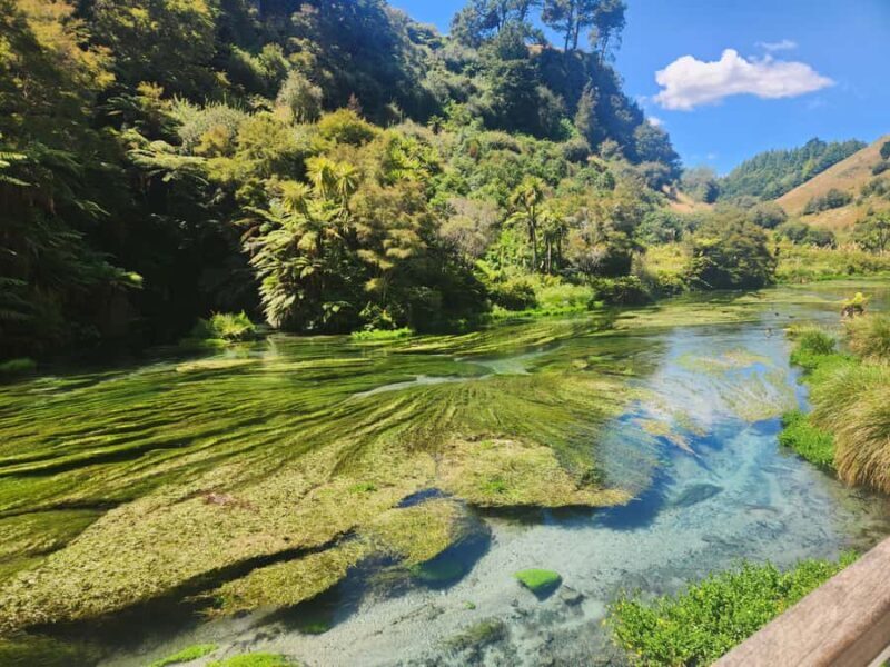 Rotorua & Taupo DayTour Waiotapu & Huka Falls from Auckland - Frequently Asked Questions