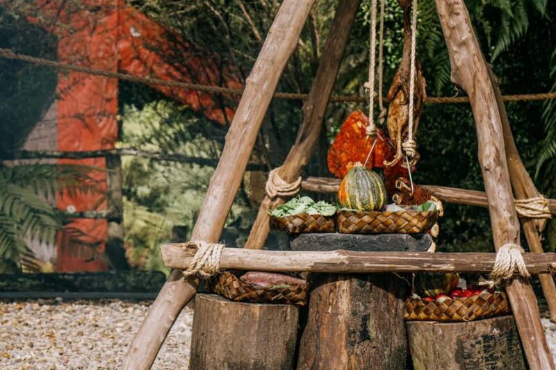 Rotorua: Te Pa Tu Mori Cultural Experience with Dinner - A Scenic Evening in the Forest: Your Experience in Detail