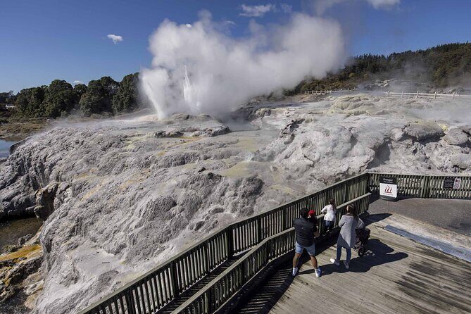 Rotorua: Te R Guided Experience + Haka - The Sum Up