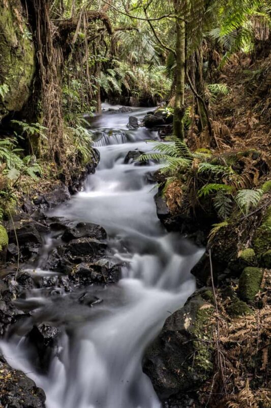 Rotorua: The Buried Village of Te Wairoa - Guided tours and storytelling