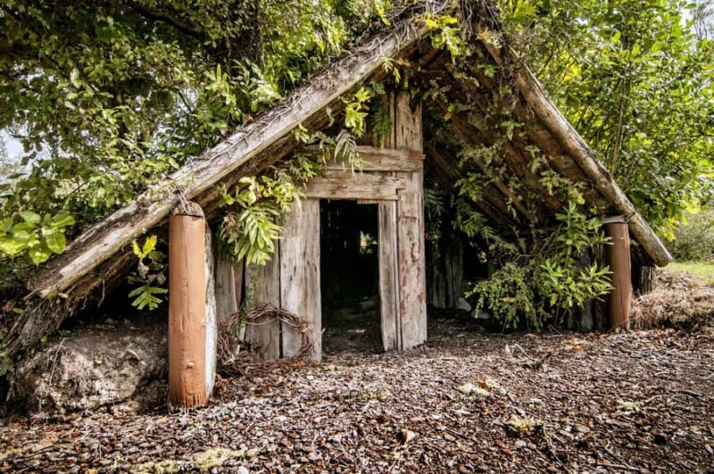 Rotorua: The Buried Village of Te Wairoa - Walking the archaeological sites