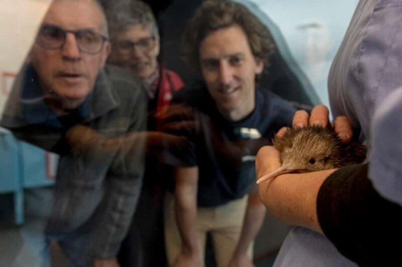Rotorua: The National Kiwi Hatchery Kiwi Encounter Tour - Final Thoughts