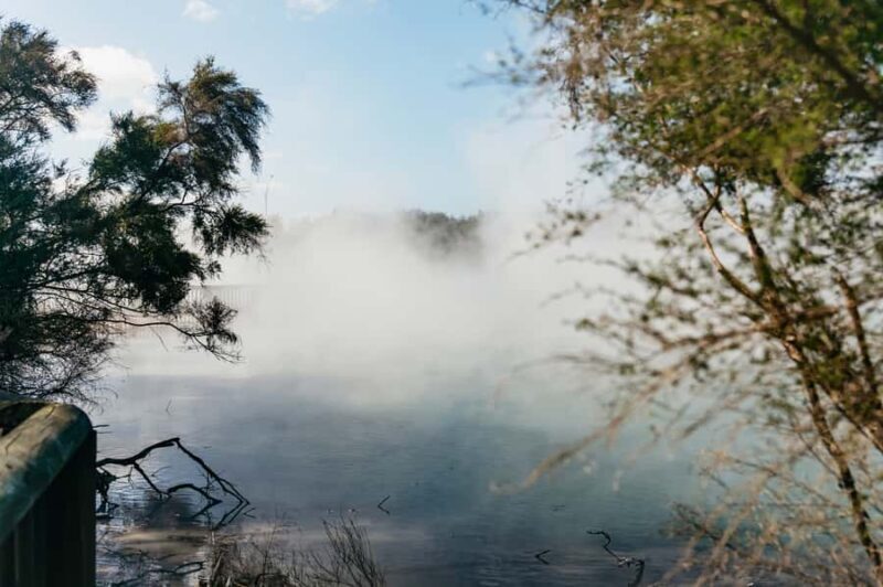 Rotorua: 'Thermal Path Tour' Geothermal half day Tour - The Value of This Experience