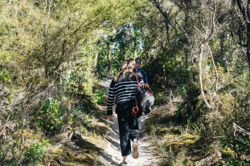 Rotorua: 'Thermal Path Tour' Geothermal half day Tour - Who Is This Tour Best For?