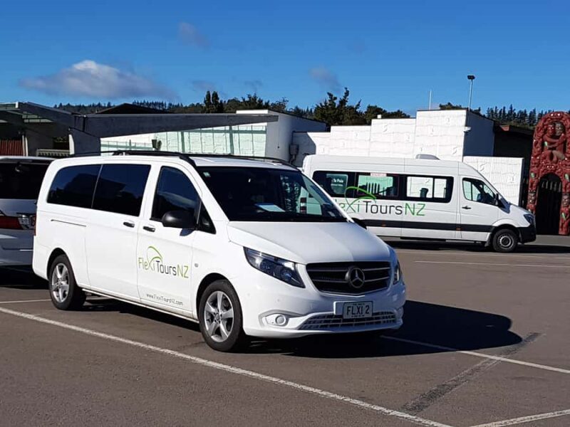Rotorua to Auckland - Afternoon Transfer with Waitomo Caves - Deep Dive into the Itinerary