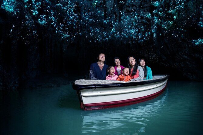 Rotorua to Auckland Afternoon Transfer with Waitomo Glow Worms - Comprehensive Breakdown of the Experience