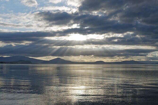 Rotorua to Auckland via Taupo and Hamilton Gardens Tour (one-way) - The Value of the Experience