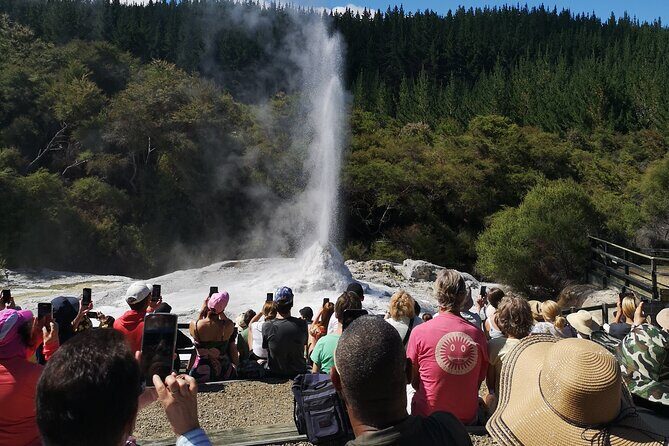 Rotorua to Wai-o-Tapu Thermal Wonderland Shuttle - Final Thoughts: Is This Tour Right for You?