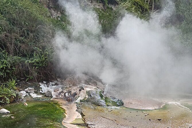 Rotorua to Waimangu Volcanic Valley Morning Shuttle - A Closer Look at the Waimangu Volcanic Valley Shuttle