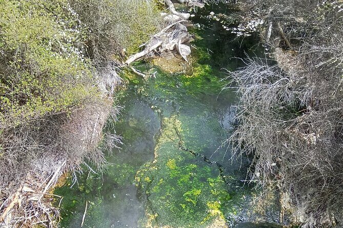 Rotorua to Waimangu Volcanic Valley Morning Shuttle - Who Will Love This Tour?