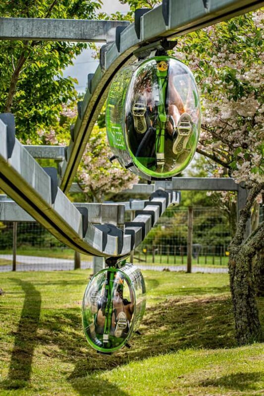 Rotorua: Velocity Valley - Four Ride Pass - What to Expect at Velocity Valley