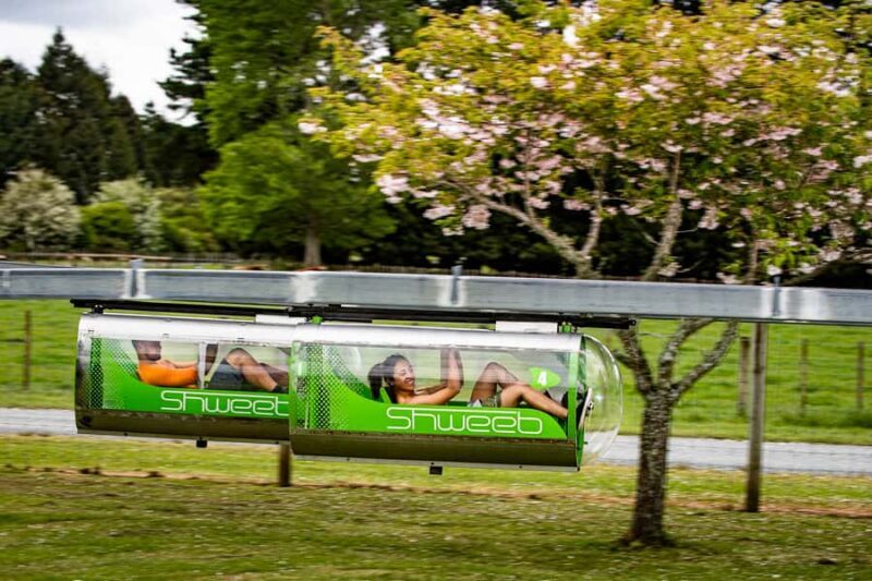 Rotorua: Velocity Valley - One Ride Pass - A Detailed Look at Rotorua’s Velocity Valley Adventure Pass