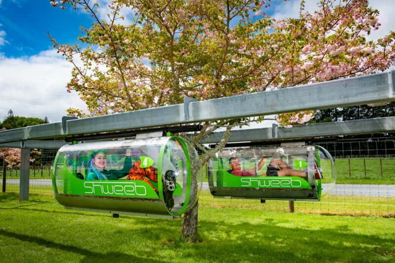 Rotorua: Velocity Valley - One Ride Pass - What to Expect on the Day of Your Visit