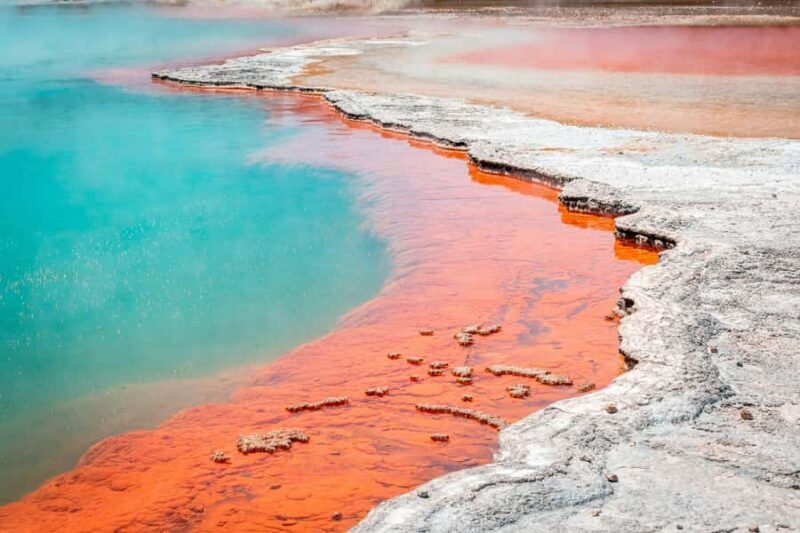 Rotorua: Wai-O-Tapu Geothermal Park Entry Ticket - Key Points