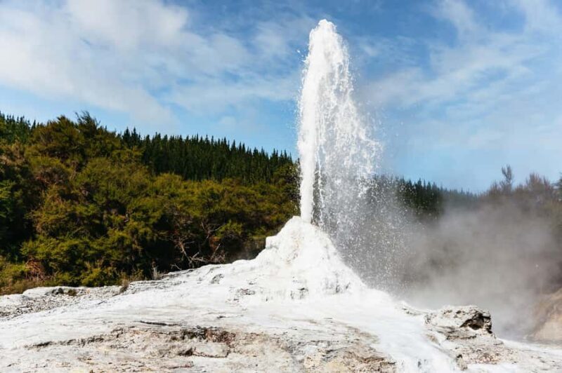 Rotorua: Wai-O-Tapu Geothermal Park Entry Ticket - Authentic Experiences and Visitor Insights