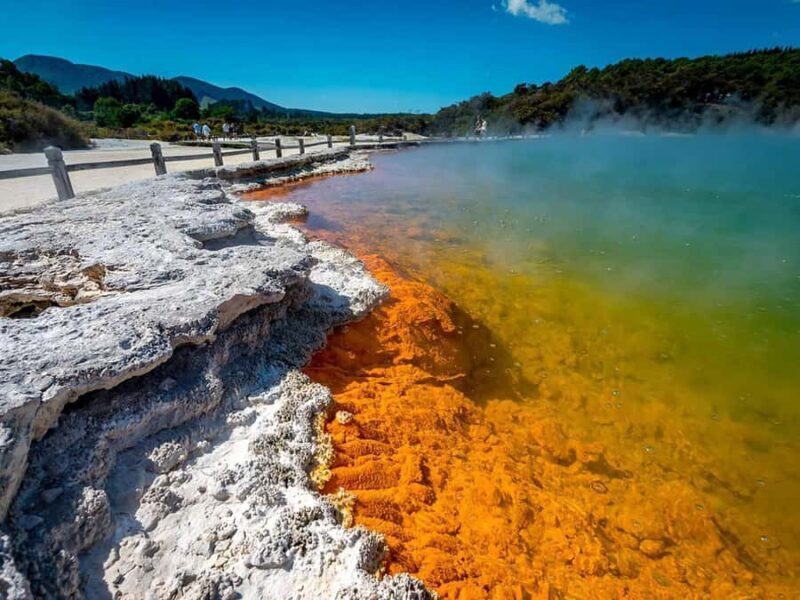 Rotorua: Wai-O-Tapu, Redwoods, and Secret Spot a Day Tour - A Balanced Look at Rotorua’s Highlights