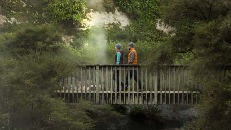 Rotorua: Waimangu Volcanic Valley Entry Ticket - Who Should Consider Waimangu?